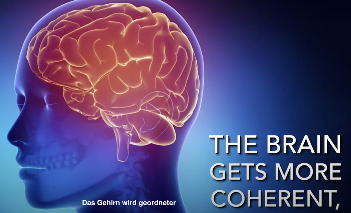 EEG-Untersuchungen: Das Gehirn wird kohärenter