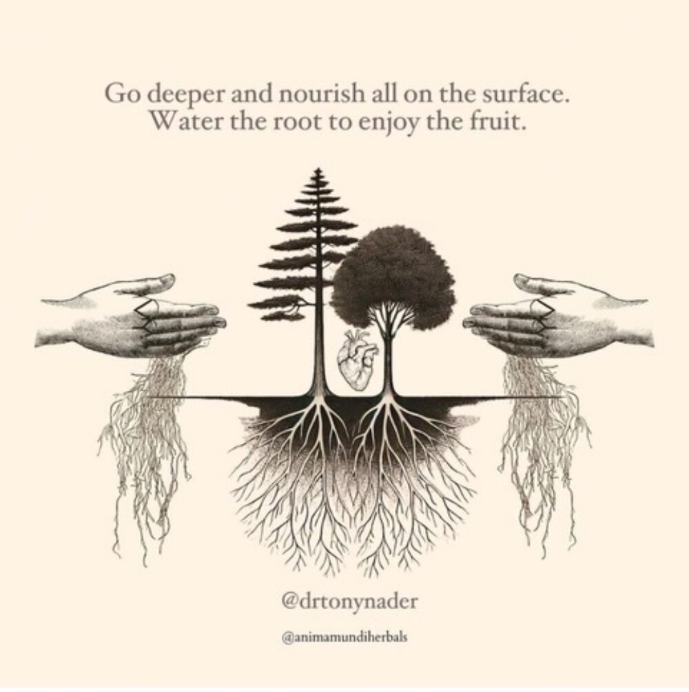 Water The Root