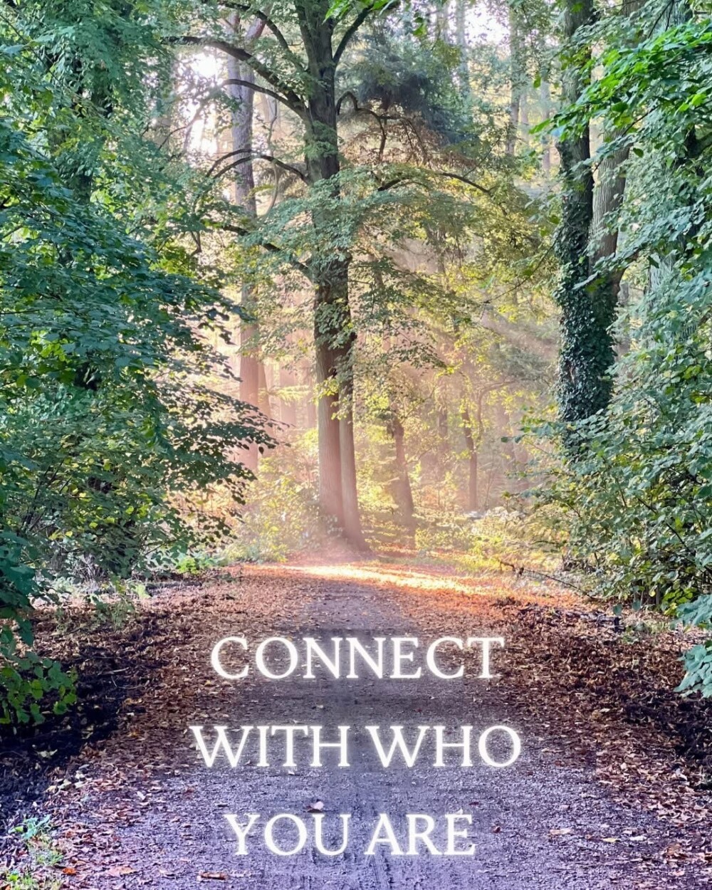 Connect with what you are