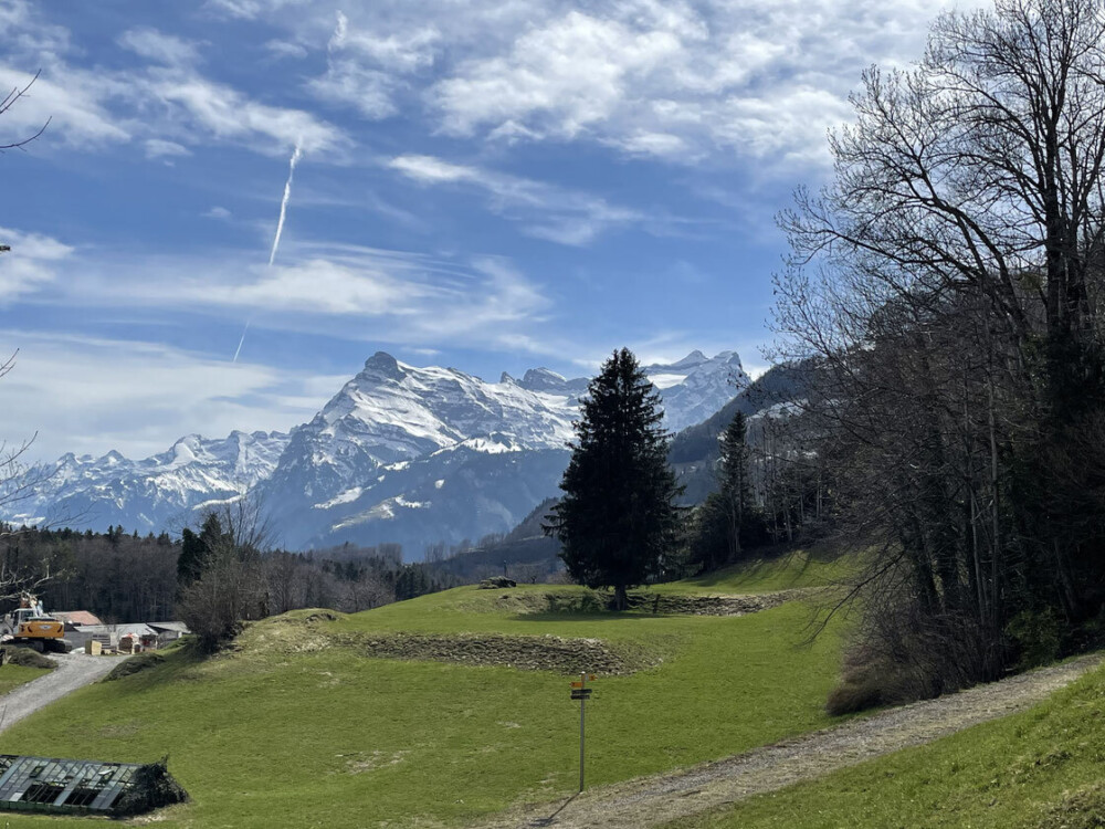 Ayurveda Schweiz